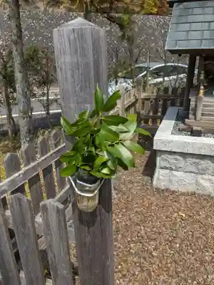 富士椿神社のその他建物