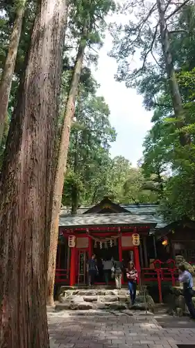 椿大神社の本殿・本堂