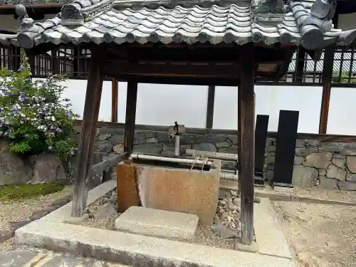 興聖寺（興聖寶林禅寺）の{uncategorized: "未分類", other: "その他", undefined: "問題あり", building: "その他建物", grave: "お墓", sacred_gate: "鳥居", guardian: "狛犬", statue: "像", buddha: "仏像", history: "歴史", nature: "自然", garden: "庭園", animal: "動物", pagoda: "塔", temizu: "手水舎", mountain_gate: "山門・神門", sanctuary: "本殿・本堂", subordinate: "末社・摂社", art: "芸術", scenery: "景色", jizo: "地蔵", ema: "絵馬", goshuin: "御朱印", omikuji: "おみくじ", items: "授与品その他", amulet: "お守り", goshuincho: "御朱印帳", eats: "食事", festival: "お祭り", votive_dance: "神楽", shichigosan: "七五三参", wedding: "結婚式", experience: "体験その他", initially: "初詣", around: "周辺", anti_infection: "感染症対策"}