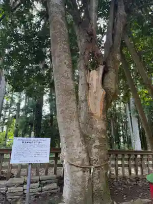 賀茂神社(宮城県)