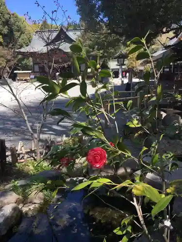 秩父神社の自然