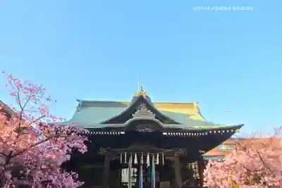 桜神宮(東京都)