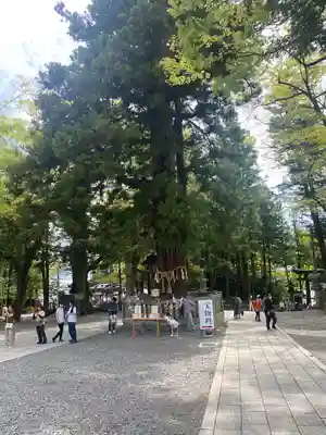 諏訪大社下社秋宮(長野県)