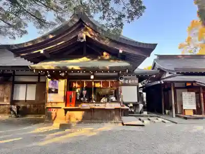 土佐神社の{uncategorized: "未分類", other: "その他", undefined: "問題あり", building: "その他建物", grave: "お墓", sacred_gate: "鳥居", guardian: "狛犬", statue: "像", buddha: "仏像", history: "歴史", nature: "自然", garden: "庭園", animal: "動物", pagoda: "塔", temizu: "手水舎", mountain_gate: "山門・神門", sanctuary: "本殿・本堂", subordinate: "末社・摂社", art: "芸術", scenery: "景色", jizo: "地蔵", ema: "絵馬", goshuin: "御朱印", omikuji: "おみくじ", items: "授与品その他", amulet: "お守り", goshuincho: "御朱印帳", eats: "食事", festival: "お祭り", votive_dance: "神楽", shichigosan: "七五三参", wedding: "結婚式", experience: "体験その他", initially: "初詣", around: "周辺", anti_infection: "感染症対策"}