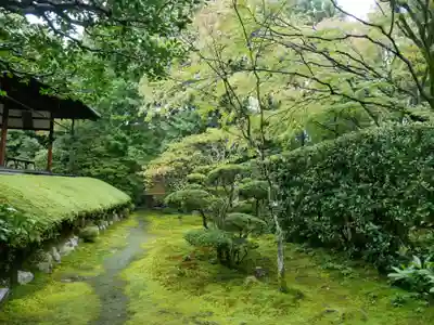 桂春院のその他建物