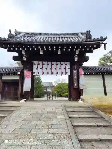 仁和寺の山門