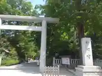 阿佐ヶ谷神明宮の鳥居