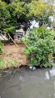 弁天池(弁天社)の景色
