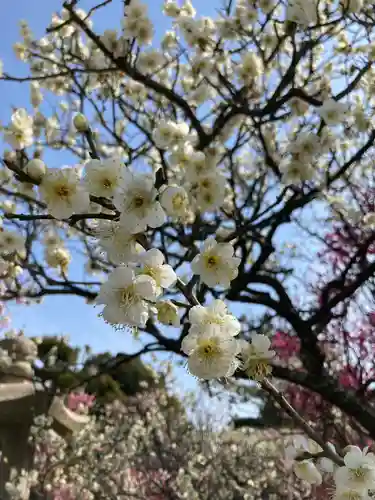 曽根天満宮の庭園