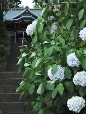 西八朔杉山神社(神奈川県)
