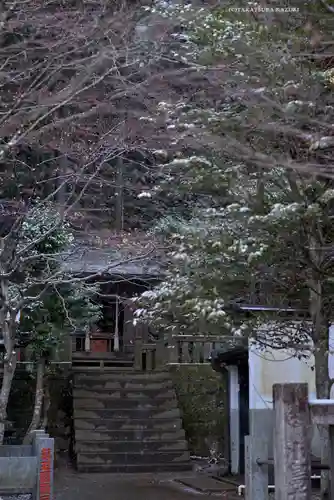 大山阿夫利神社(神奈川県)