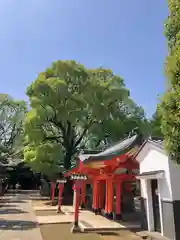 穴八幡宮(東京都)