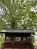 鞆江神社(明地)の{uncategorized: "未分類", other: "その他", undefined: "問題あり", building: "その他建物", grave: "お墓", sacred_gate: "鳥居", guardian: "狛犬", statue: "像", buddha: "仏像", history: "歴史", nature: "自然", garden: "庭園", animal: "動物", pagoda: "塔", temizu: "手水舎", mountain_gate: "山門・神門", sanctuary: "本殿・本堂", subordinate: "末社・摂社", art: "芸術", scenery: "景色", jizo: "地蔵", ema: "絵馬", goshuin: "御朱印", omikuji: "おみくじ", items: "授与品その他", amulet: "お守り", goshuincho: "御朱印帳", eats: "食事", festival: "お祭り", votive_dance: "神楽", shichigosan: "七五三参", wedding: "結婚式", experience: "体験その他", initially: "初詣", around: "周辺", anti_infection: "感染症対策"}