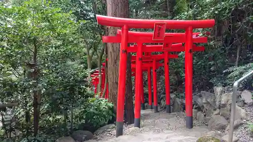 白笹稲荷神社の鳥居