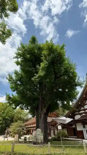 永保寺(岐阜県)