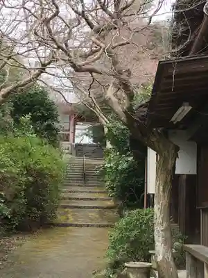 龍泉寺(大阪府)