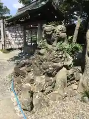 菊田神社の狛犬