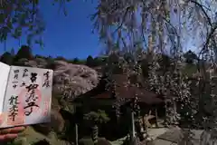 龍光寺の御朱印