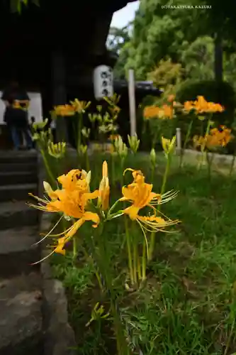 横浜　西方寺(神奈川県)