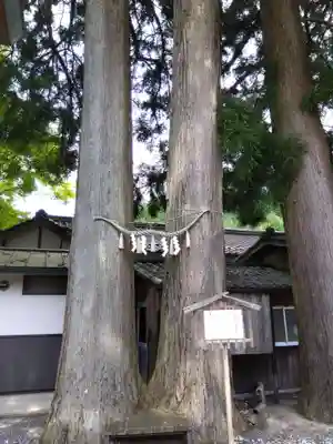 玉桂寺(滋賀県)