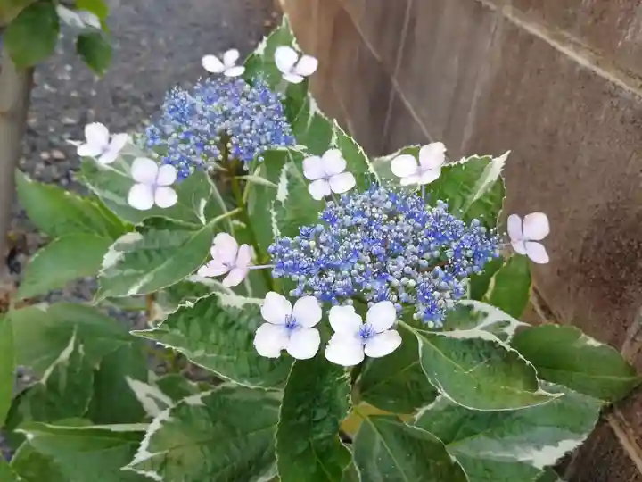 西方山極楽寺の自然