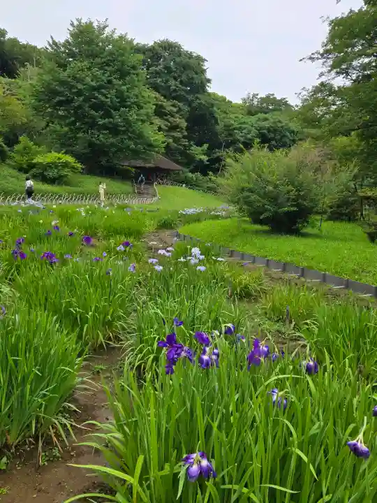 明治神宮(東京都)
