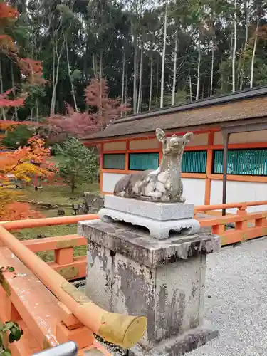 大原野神社の狛犬