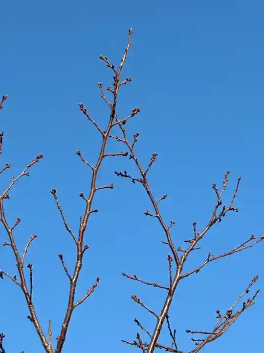 一乗院(和歌山県)