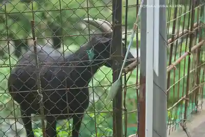 賀茂別雷神社(栃木県)