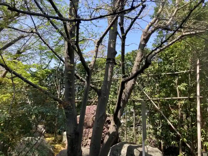 全龍寺(神奈川県)
