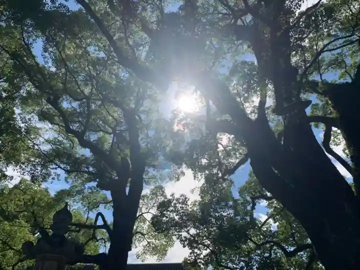 太宰府天満宮の自然