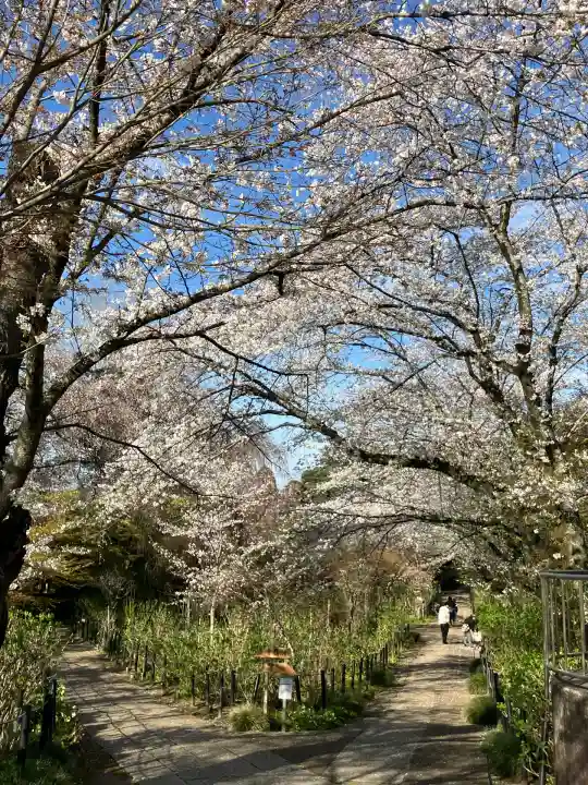 本土寺(千葉県)