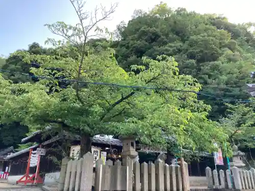 祇園神社(兵庫県)