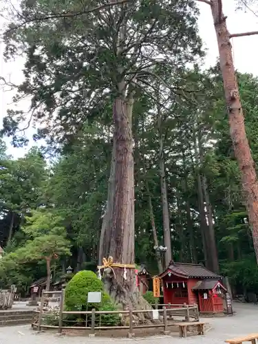 北口本宮冨士浅間神社の自然