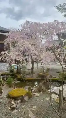 慈眼寺(京都府)