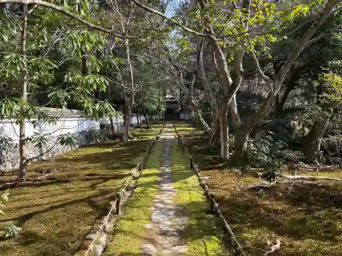 西芳寺の{uncategorized: "未分類", other: "その他", undefined: "問題あり", building: "その他建物", grave: "お墓", sacred_gate: "鳥居", guardian: "狛犬", statue: "像", buddha: "仏像", history: "歴史", nature: "自然", garden: "庭園", animal: "動物", pagoda: "塔", temizu: "手水舎", mountain_gate: "山門・神門", sanctuary: "本殿・本堂", subordinate: "末社・摂社", art: "芸術", scenery: "景色", jizo: "地蔵", ema: "絵馬", goshuin: "御朱印", omikuji: "おみくじ", items: "授与品その他", amulet: "お守り", goshuincho: "御朱印帳", eats: "食事", festival: "お祭り", votive_dance: "神楽", shichigosan: "七五三参", wedding: "結婚式", experience: "体験その他", initially: "初詣", around: "周辺", anti_infection: "感染症対策"}