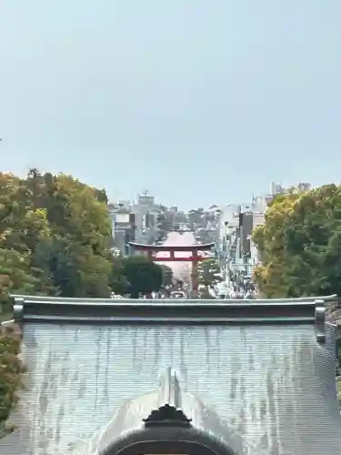 鶴岡八幡宮の景色