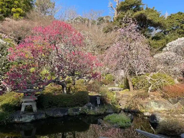 長谷寺(神奈川県)