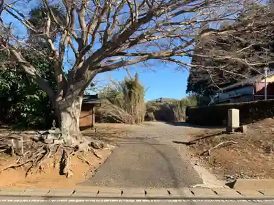 蓮蔵院(千葉県)