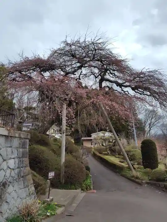 大乗寺(福島県)