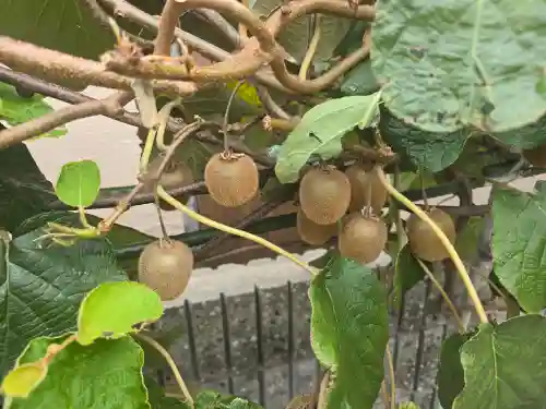 西教寺(大阪府)