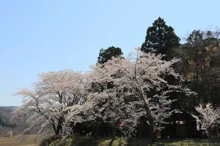 高司神社〜むすびの神の鎮まる社〜の自然