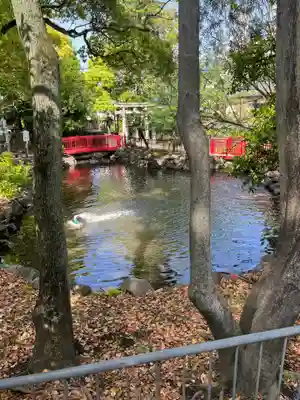 七渡神社（七渡弁天社）(東京都)