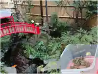 心城院の動物