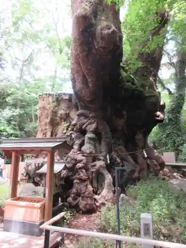 來宮神社のその他建物
