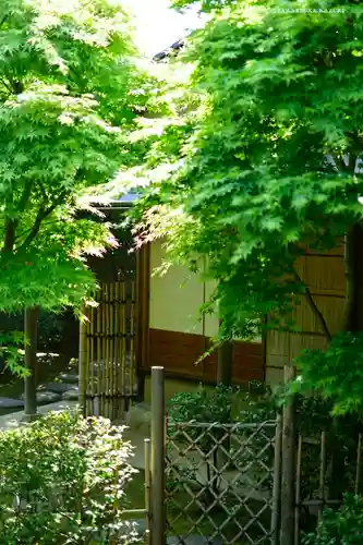 石歴山　妙勝寺の庭園
