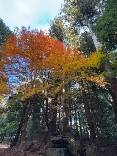 伊和神社(兵庫県)