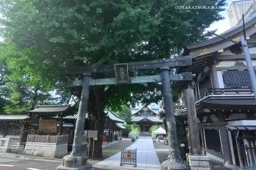湯島天満宮(東京都)