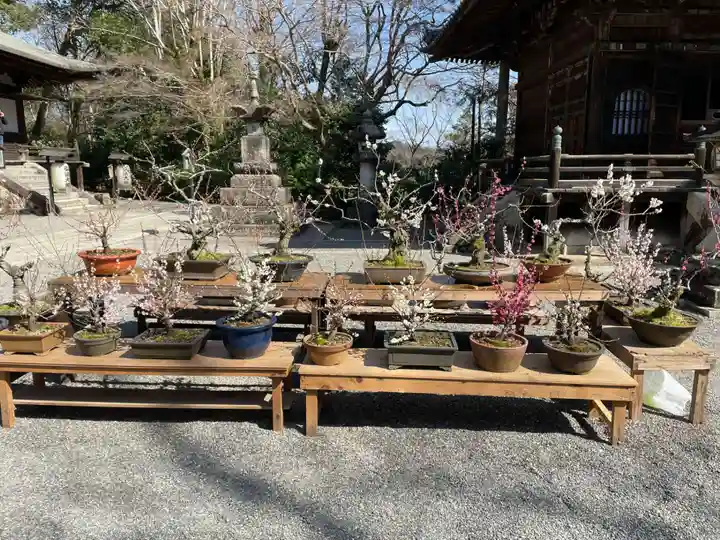 石山寺(滋賀県)