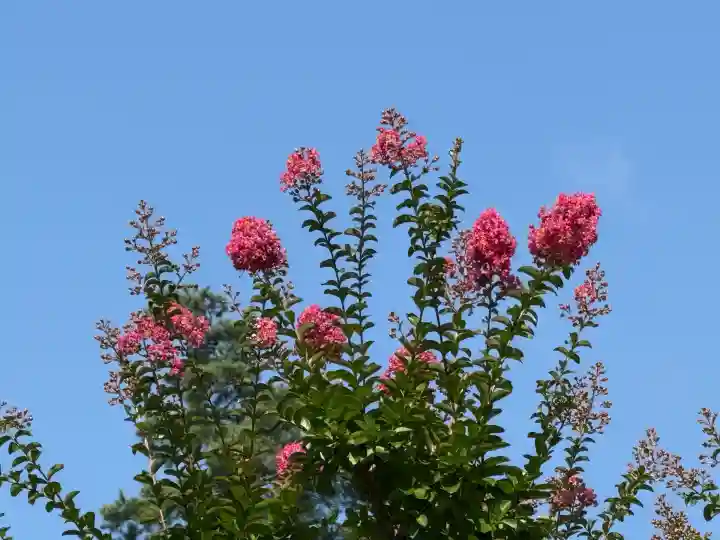 国宝 大法寺(長野県)